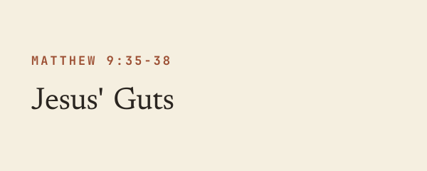 Jesus' Guts